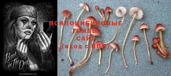 первитин Баксан