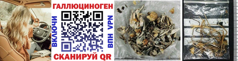 наркотики  omg ссылки  Галлюциногенные грибы Magic Shrooms  Белогорск 